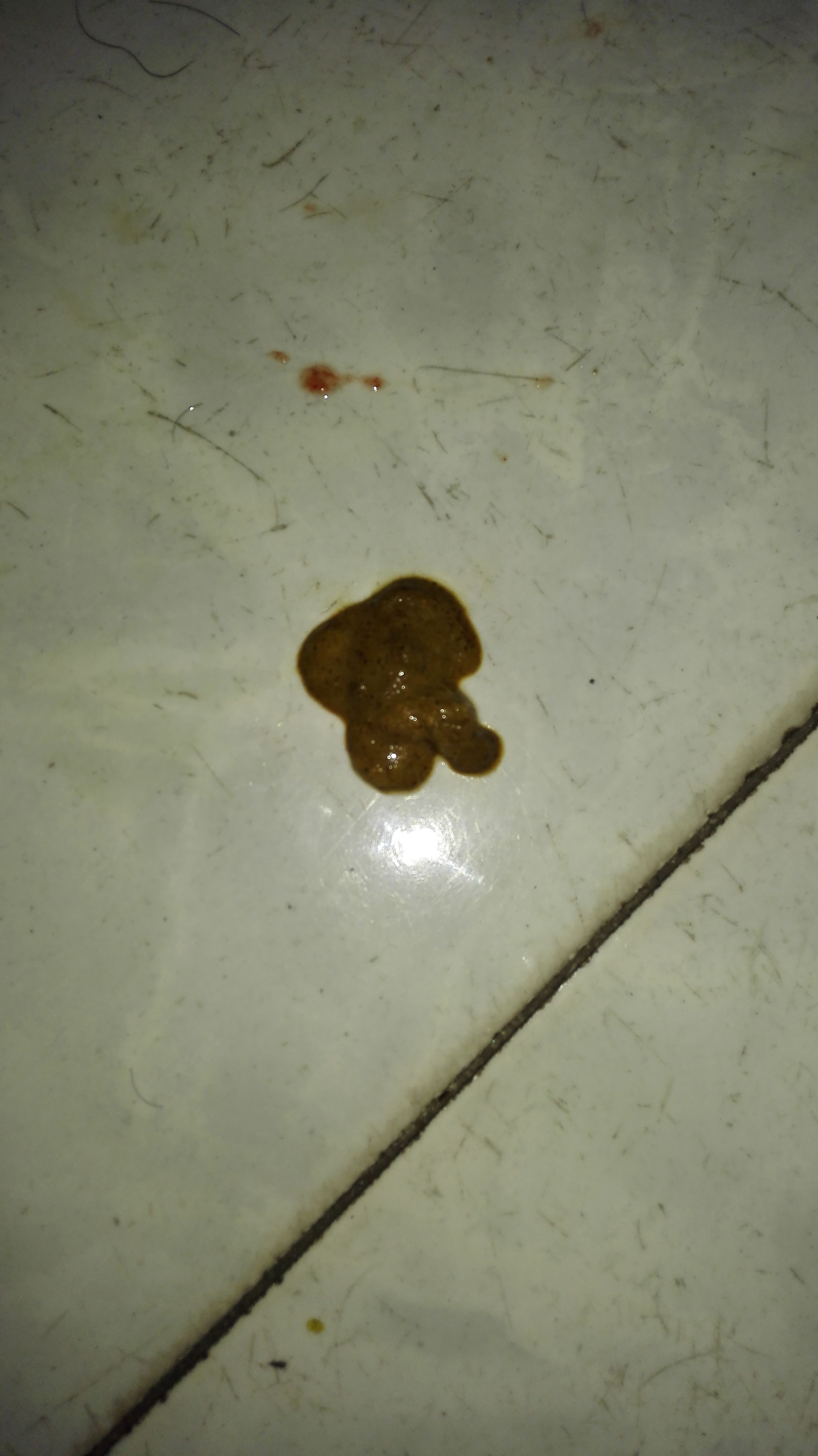 拉稀拉稀出血鲜红怎么回事也不疼