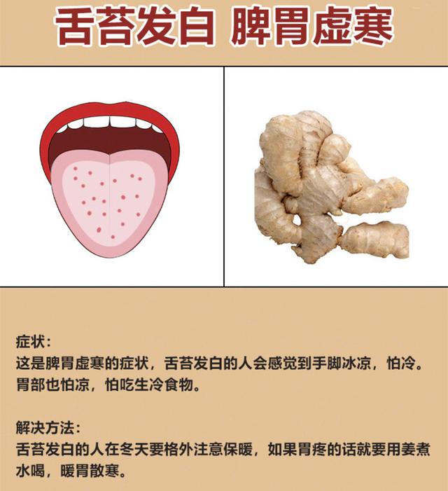肠胃湿热有什么症状怎样调理,肠胃湿热