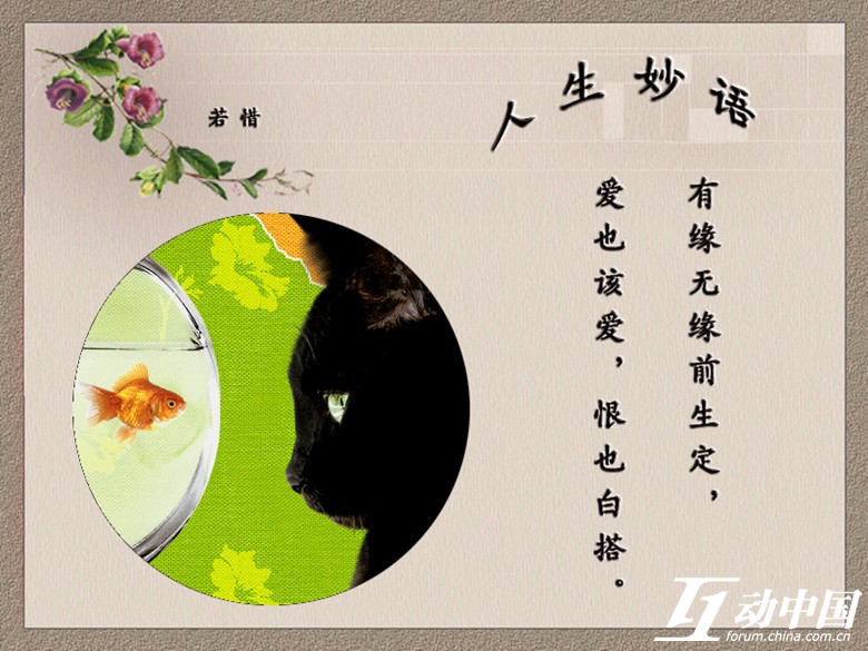 关于酒的妙语秋天关于酒的妙语