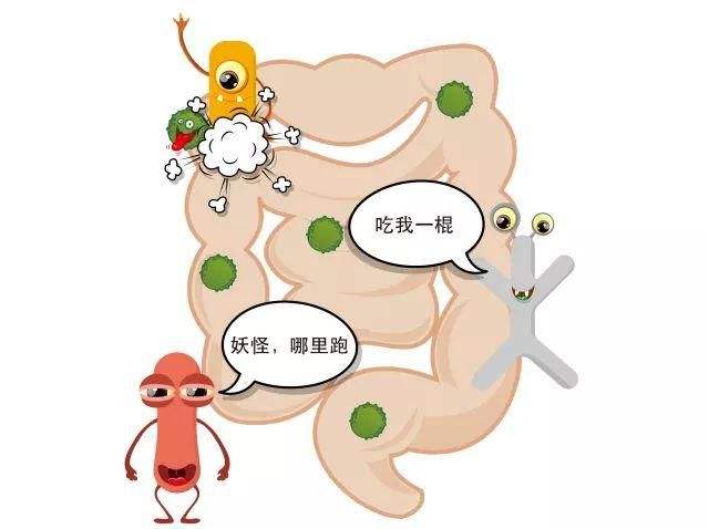 六种人不宜吃益生菌益生菌