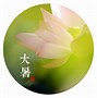 夏至节气该如何防暑养生的简单介绍
