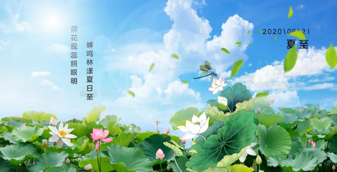 夏至养生,夏至养生汤的配方及功效