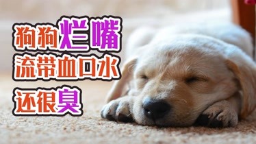 为什么睡觉会流唾液而且很臭为什么睡觉会流口水而且还很臭
