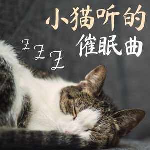 最能让人入睡的催眠曲是什么,最能让人入睡的催眠曲