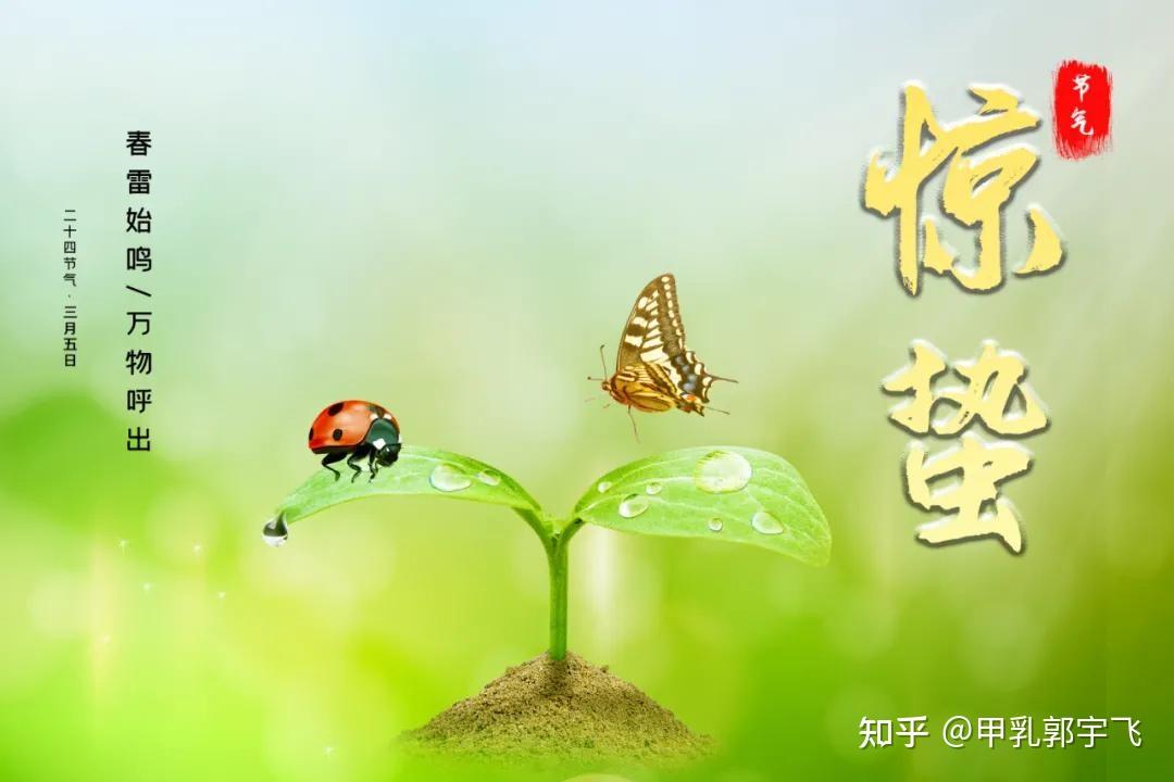 惊蛰养生图片,惊蛰养生
