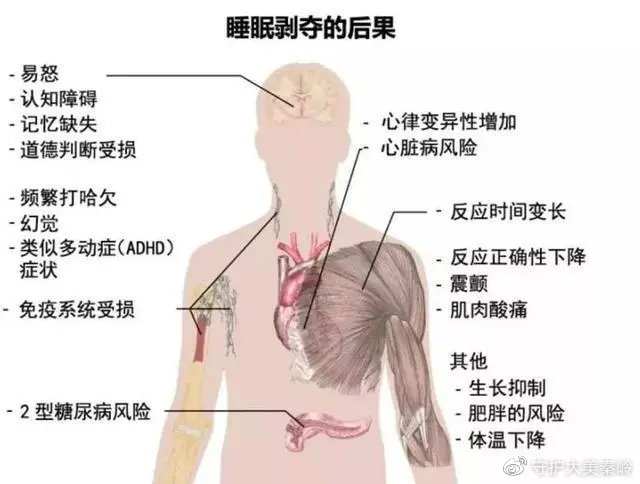 睡眠时间与脏器的关系,器官睡眠时间与睡眠时间有什么区别