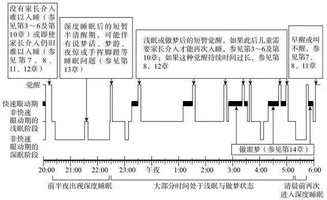 深度睡眠和浅度睡眠的比例深度睡眠和浅度睡眠的比例图