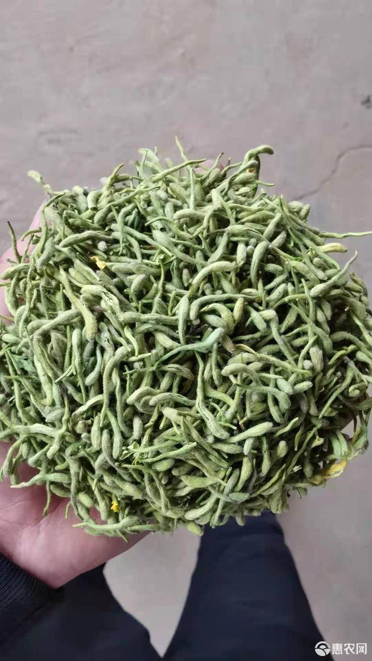金银花药材的地道产地金银花的产地和功效