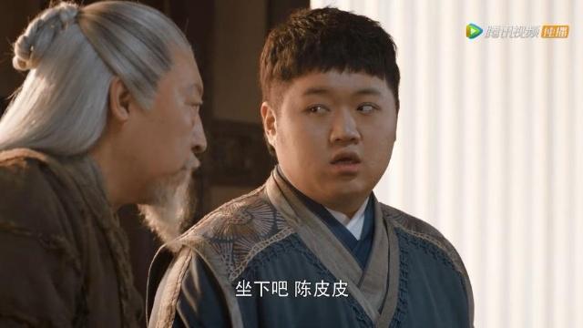 陈皮皮的功效与作用,陈皮皮最完整