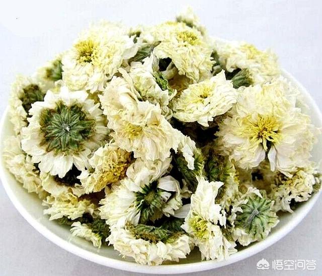 菊花的功效包括菊花的功效