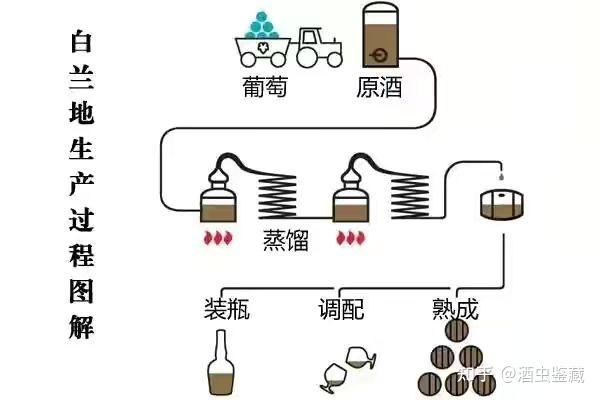 酒的分类有哪几种酒的六大分类