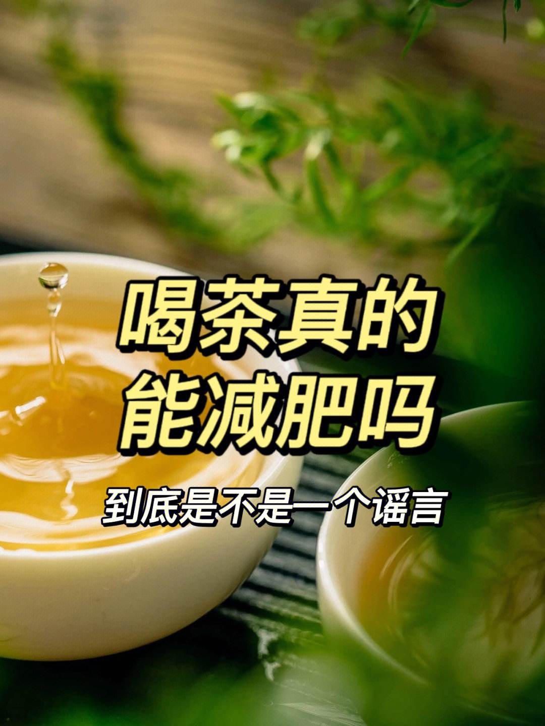 什么茶减肥什么茶减肥刮油效果最好