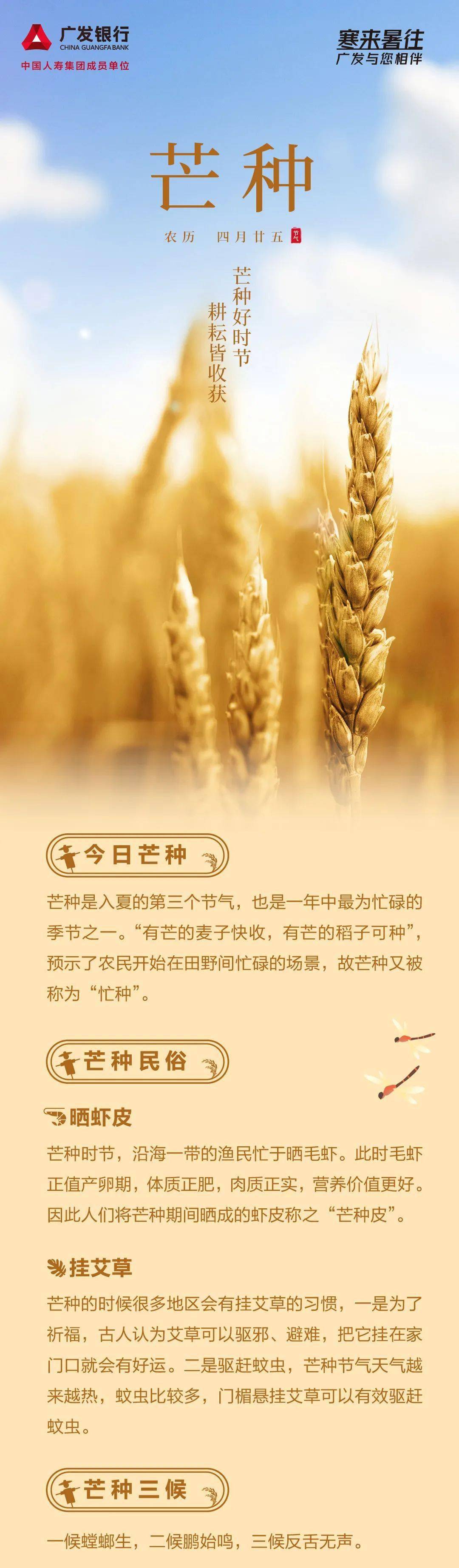 芒种养生必吃三食物芒种养生