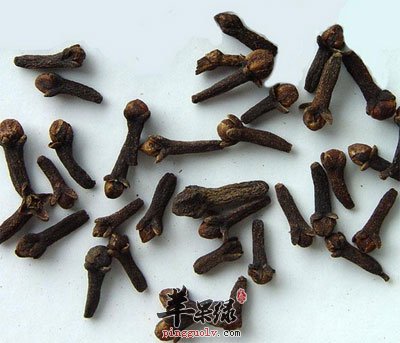 丁香叶的功效与作用丁香的功效与作用