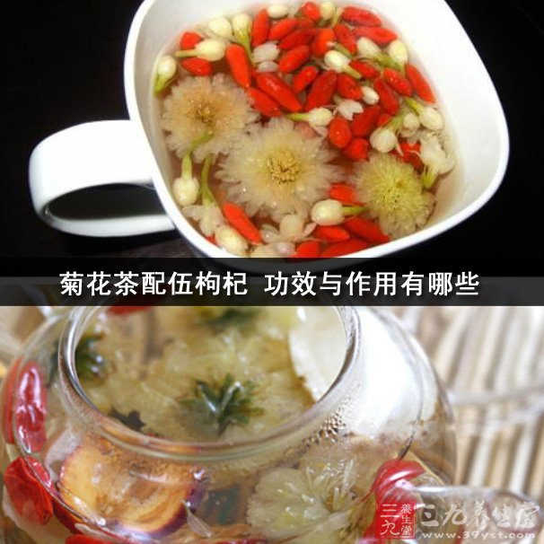 菊花茶的枸杞泡水喝功效与作用,菊花茶的功效与作用枸杞泡水