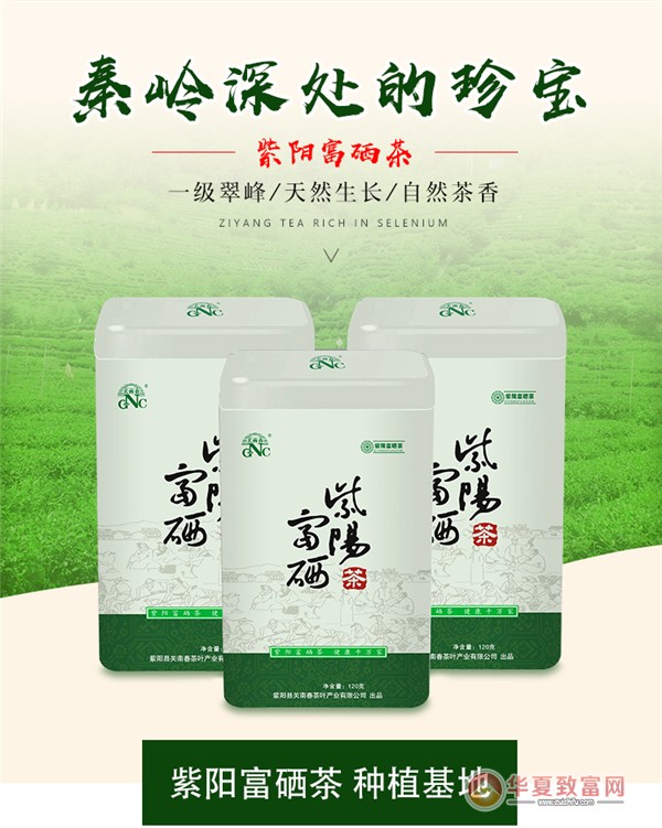 紫阳富硒茶怎么样紫阳富硒茶