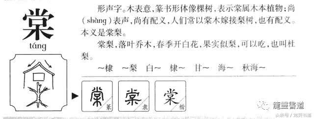 金银花露小说字字珠玑车文的简单介绍