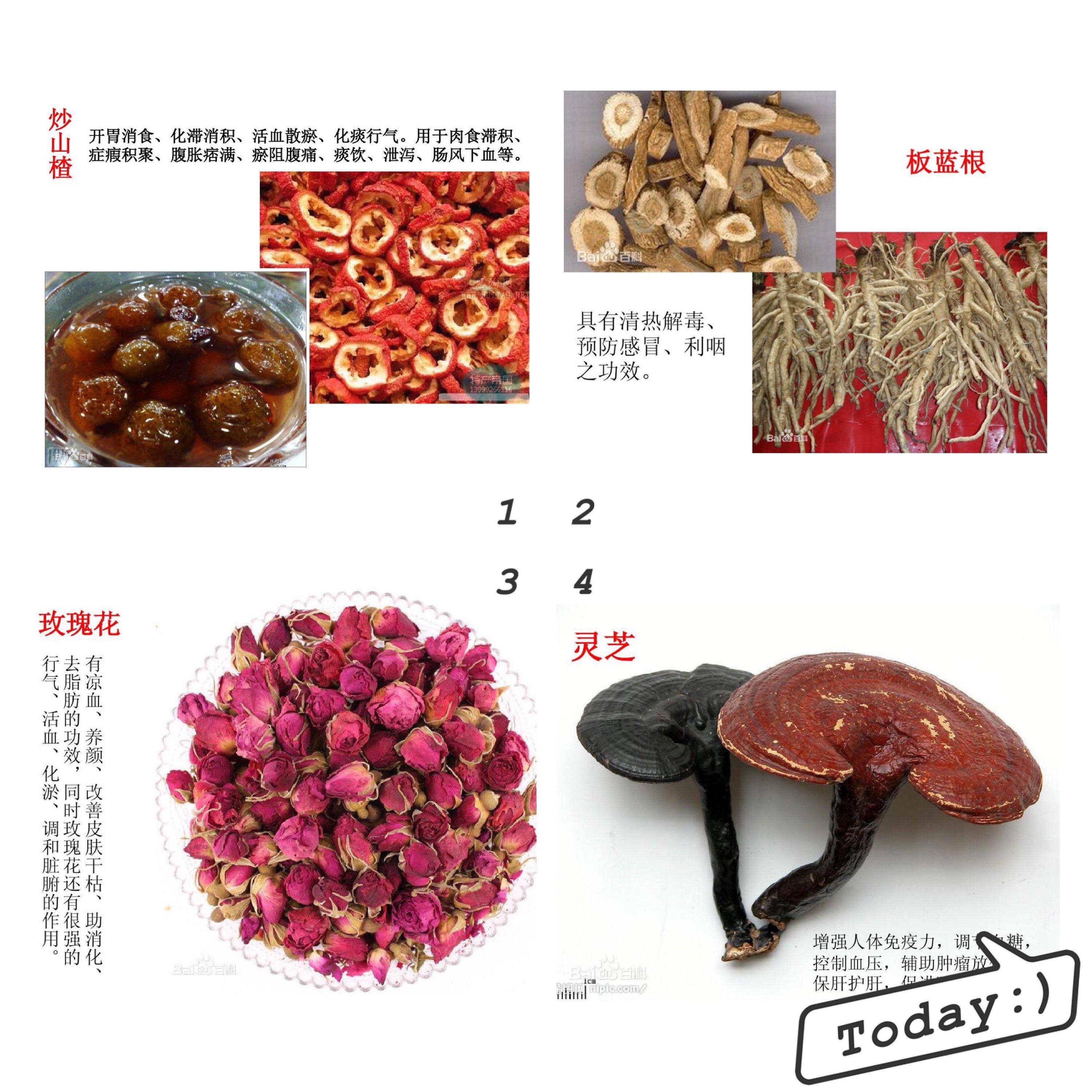 中草药大全名字和图片中草药
