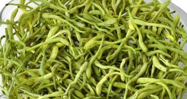 关于金银花的功效与作用泡水喝的功效鱼腥草的信息