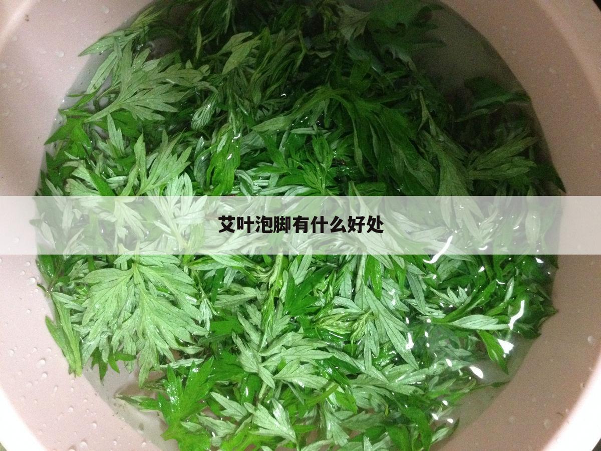 艾叶的功效与作用,艾叶的功效与作用与主治