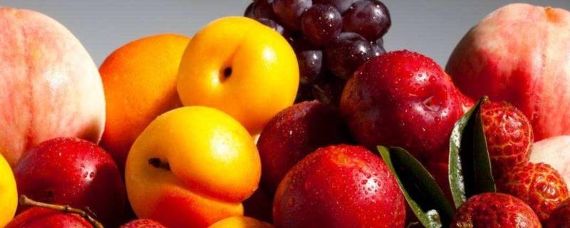 温性对胃好的水果,温性养胃的水果