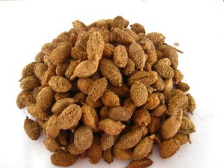 砂仁的功效与作用图片,砂仁的功效