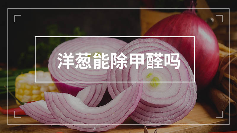 甲醛怎么去除最有效洋葱的味道,甲醛怎么去除最有效洋葱