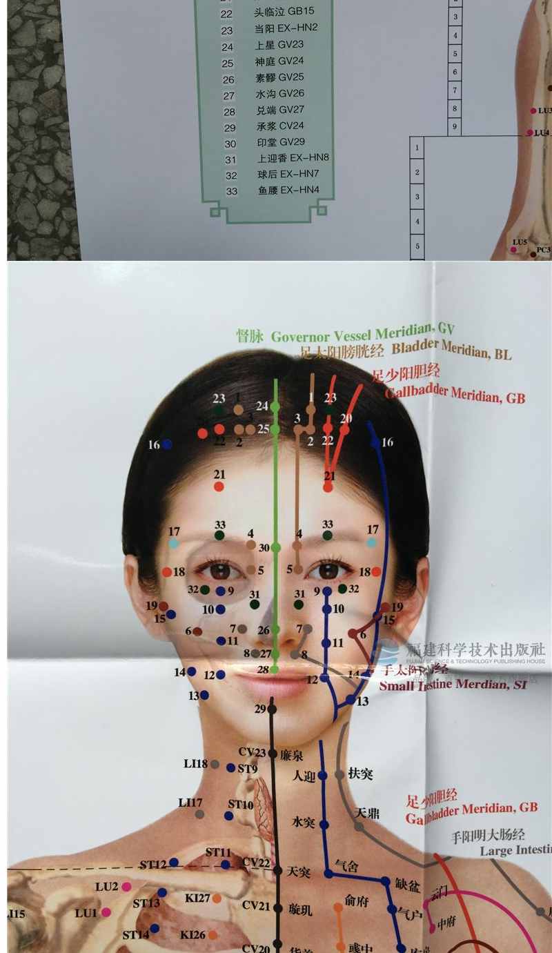 女人经络养生经女人经络养生经四季饮食养生