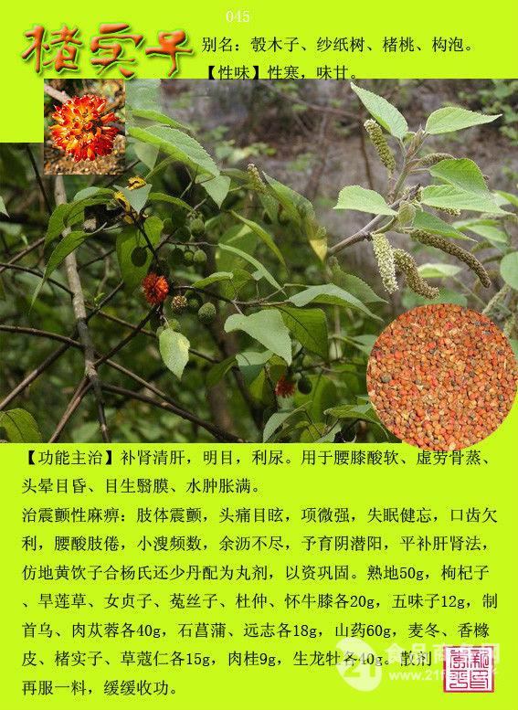 枳实的功效与作用与主治,枳实的功效与作用