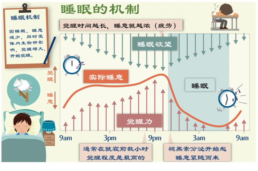 治疗失眠的特效方法中药治疗失眠的特效方法