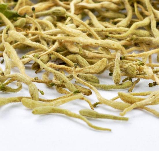 金银花的功效与作用及禁忌症,金银花泡水喝对身体有什么好处