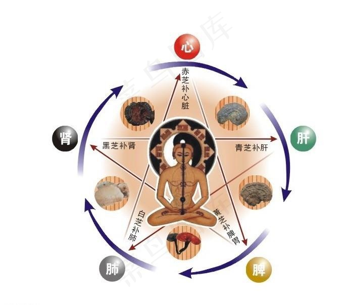 五行经络养生,五行经络养生法