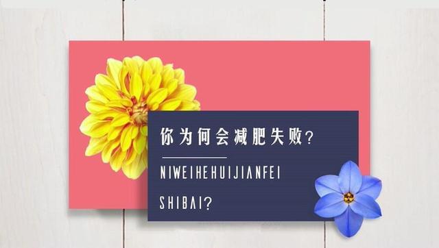 吃西红柿会不会减肥,会减肥