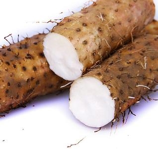 养胃的食物排行榜第一名养胃的食物