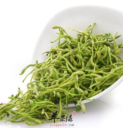 金银花有什么功效与作用,金银花有什么功效作用与主治