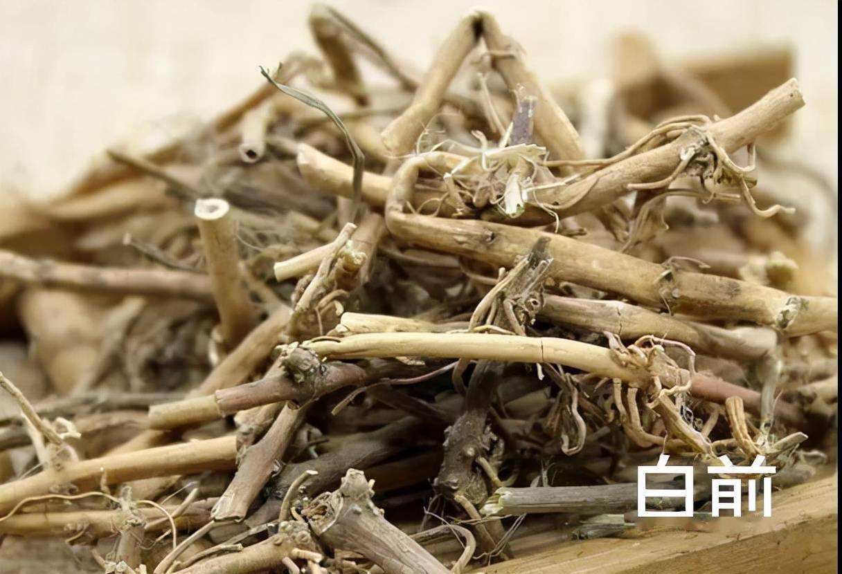 白前白前胡
