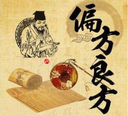 菌陈功效与作用养生之家,养生之家