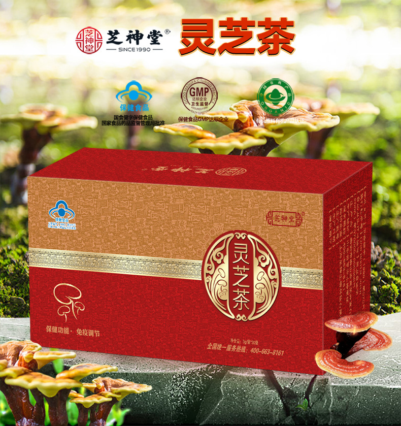 灵芝茶的配方少林灵芝茶