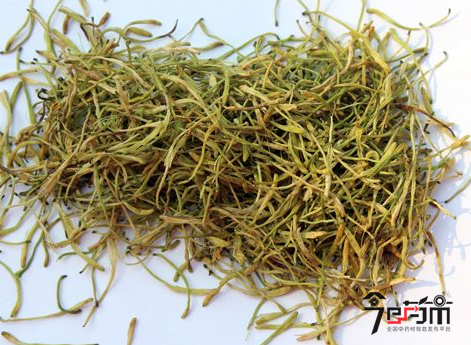 金银花的副作用太大了金银花的副作用太大了怎么办