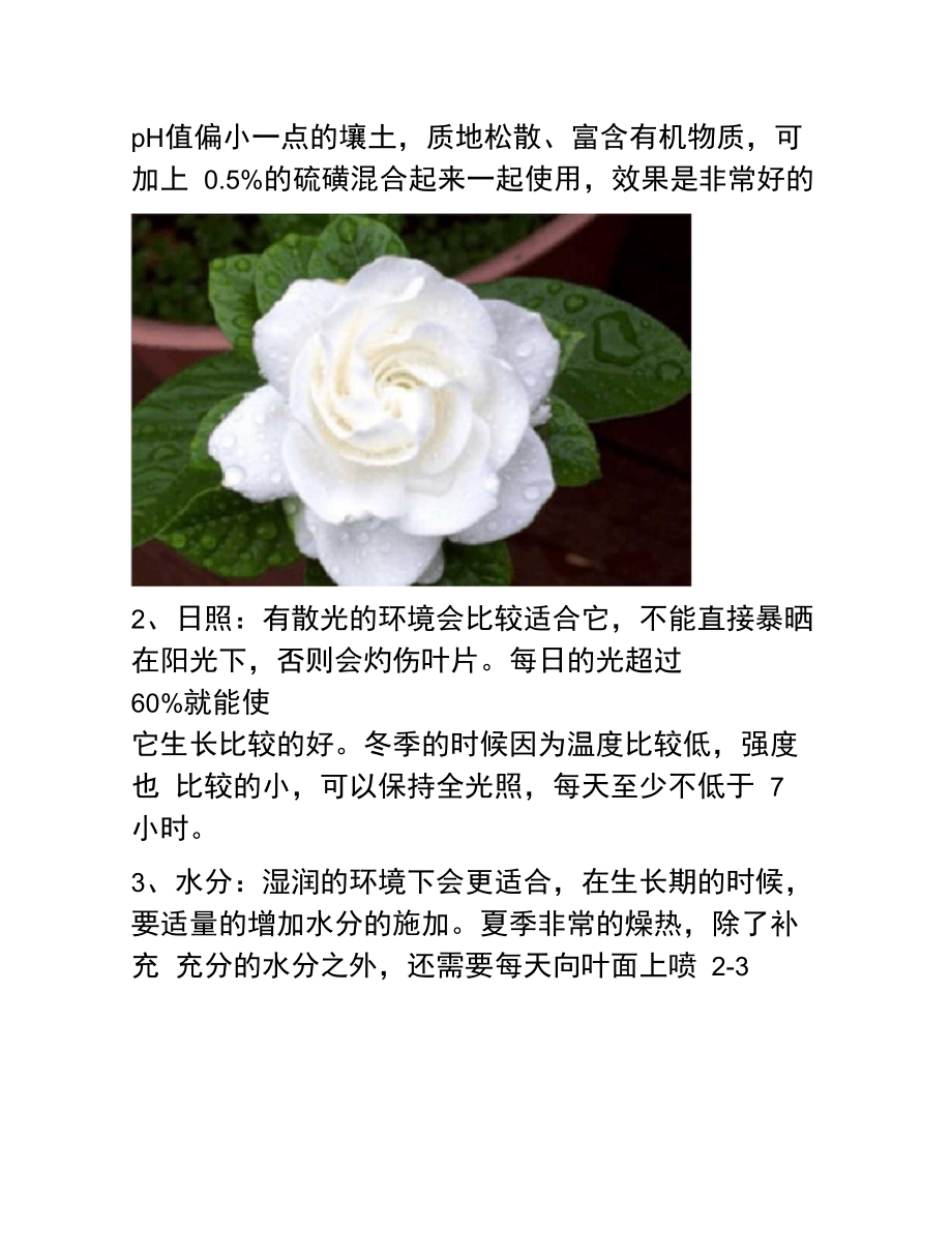 栀子的功效与作用及禁忌,副作用栀子的功效