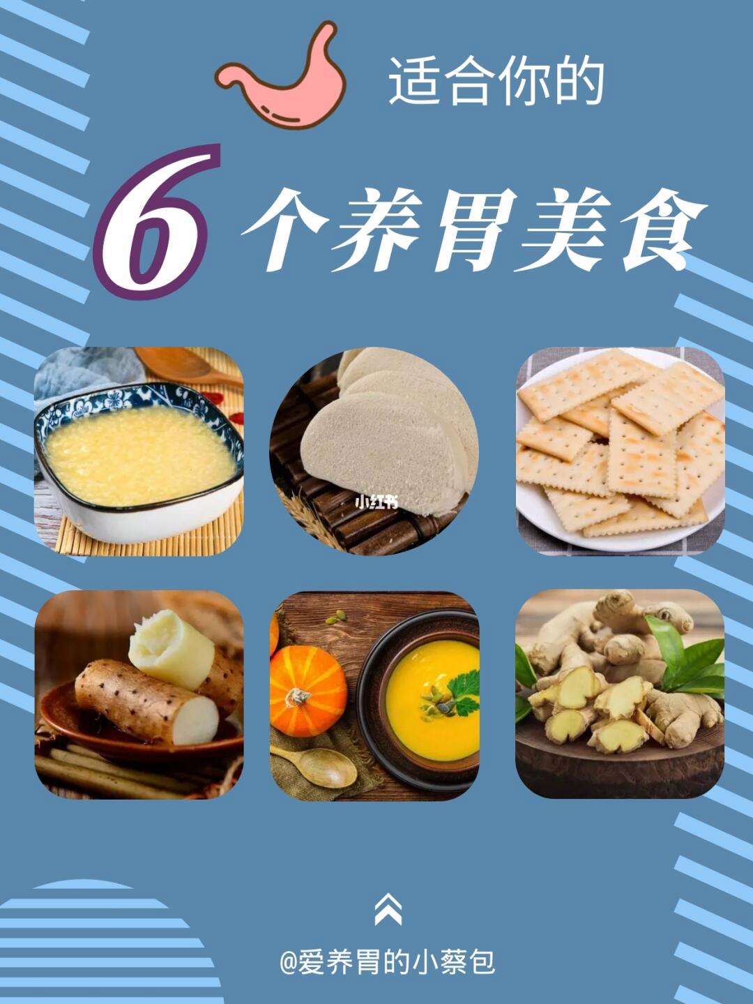 养胃的食物有哪些,养胃的食物你都知道哪些呢?
