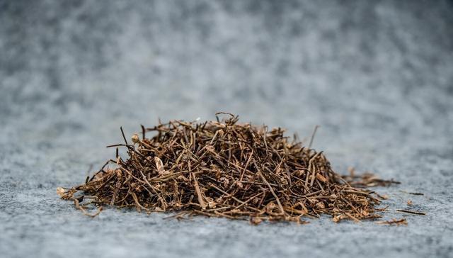 白花蛇舌草白花蛇舌草的功效与作用图片