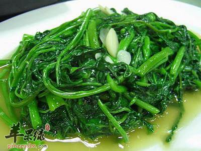 养胃吃什么蔬菜食物最好养胃的蔬菜食物有哪些