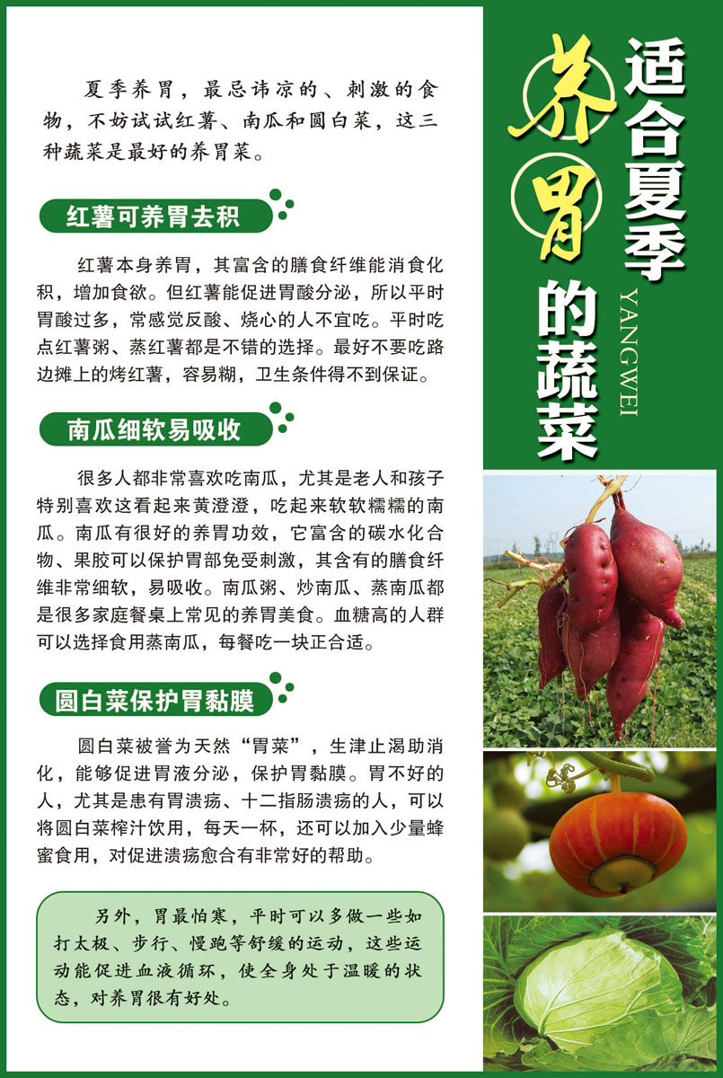养胃吃什么蔬菜食物最好养胃的蔬菜食物有哪些