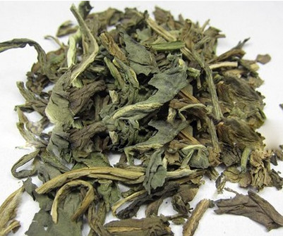 大青叶的功效与作用,大青叶的功效与作用及禁忌