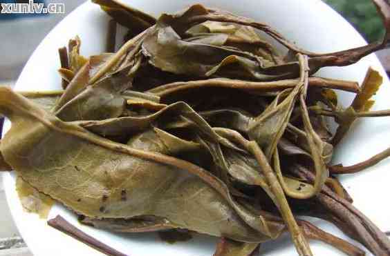 普洱茶怎么区分好坏,普洱茶怎么区分好坏生茶?
