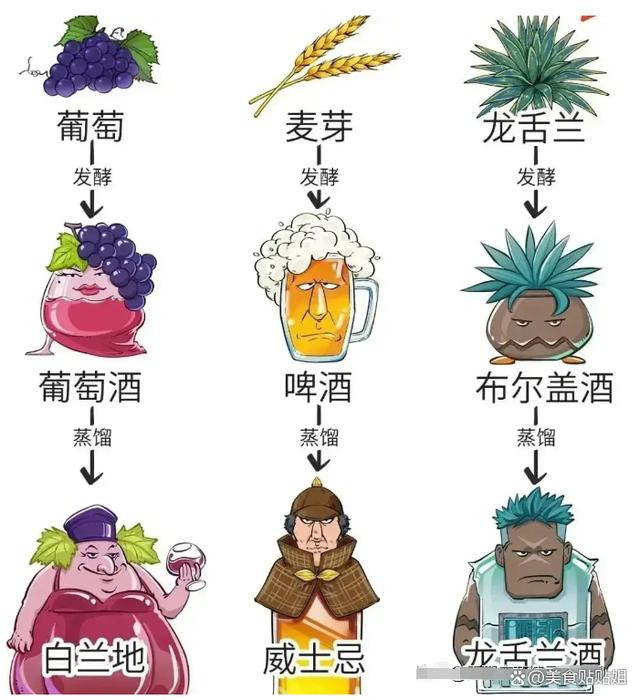 世界三大烈酒和葡萄酒集团,世界三大烈酒是哪三种