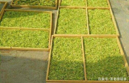 新鲜金银花怎么烘干,新鲜金银花自制烘干法