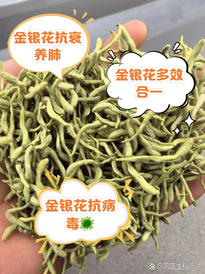 野生金银花和金银花有什么区别野生金银花的作用与用途