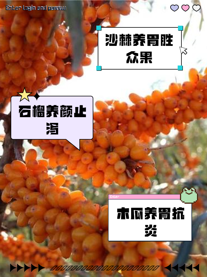 修复胃黏膜必吃的四种食物,十大最养胃的水果